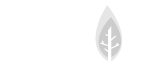 Roots株式会社